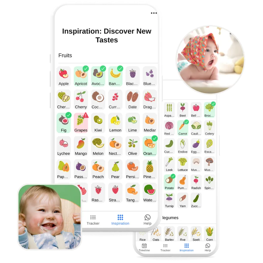 Inspiration board with 190 first foods to try